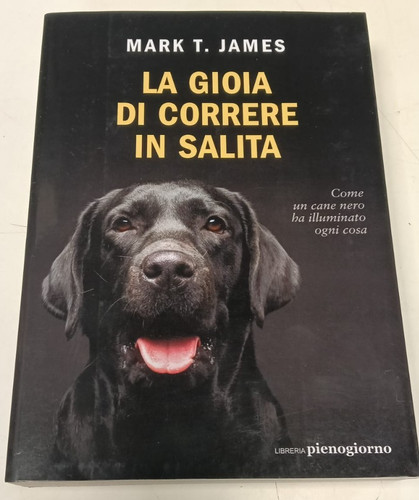 Gioia correre in - correre, salita
