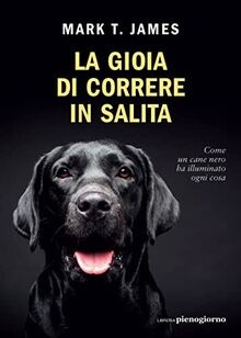 Gioia correre in - in, salita
