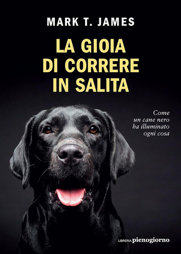 Gioia correre in - in, salita