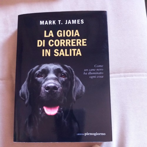 Gioia correre in salita - correre,
